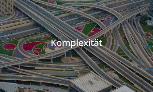 Komplexität als nicht eliminierbares Element